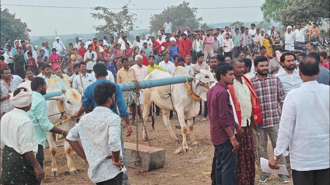 Maa OoriI Yedla pandem 