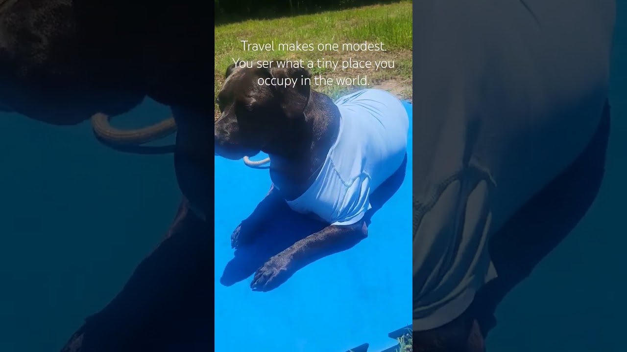 Travel makes one modest. You see what a  tiny place you occupy in the world.