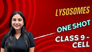 Why Lysosomes are Called Suicidal Bags Explained