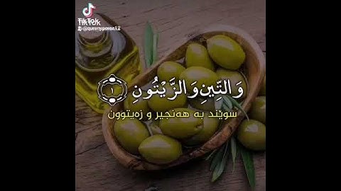 شيخ أحمد العجمي سورة التين والزيتون تةفسيري كوردي
