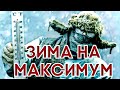 КАКИЕ ЗИМЫ САМЫЕ ХОЛОДНЫЕ В ИСТОРИИ