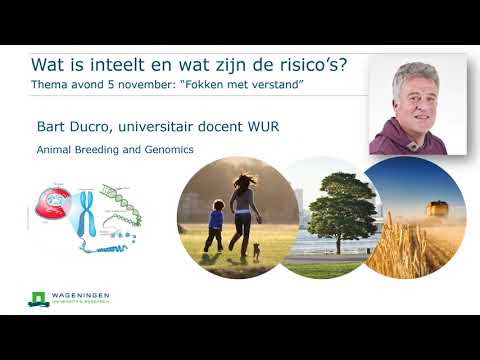 Video: Hoe verhoogt inteelt homozygotie?