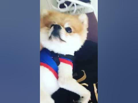 Спайдерман - YouTube