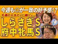 今週も◎が一致の好予感！！「大金星」よ、再び！？《しらさぎS》＆《府中牝馬ステークス》【 武田Ｄ、大谷記者、目黒貴子姐のユルくも為になる！日刊ゲンダイ競馬予想２０２５ 】