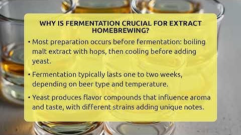 Why Is Fermentation Crucial For Extract Homebrewing? - The Pint Guy