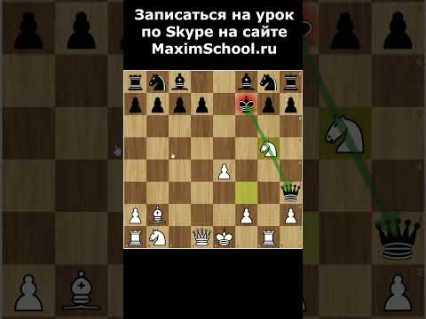 Северный гамбит в