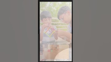 Fun & Engaging STEM Learning with Acelabs! | Hands-On Science & Engineering for Kids