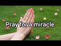 How to Create Your Own Miracles/educational stories