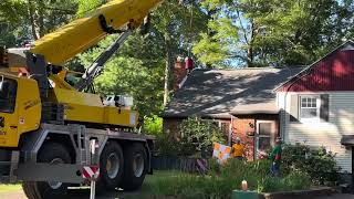HUGE Tree Removal! $1M CRANE!  Arbortech Tree Service, Albany NY