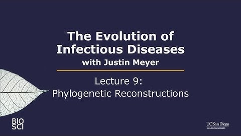 The Evolution of Infectious Diseases with Justin Meyer: Lecture 9 - Phylogenetic Reconstructions