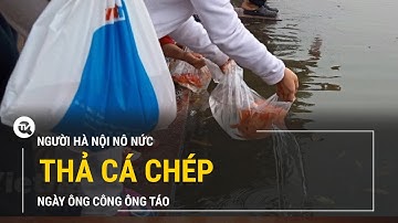 Người Hà Nội nô nức thả cá chép tiễn ông Công, ông Táo về trời | Truyền hình Quốc Hội Việt Nam