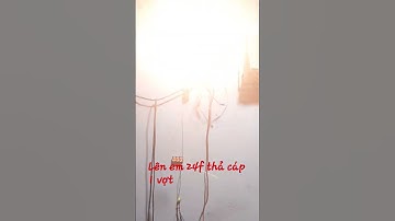 tes kích cá 24 fet nước ngọt 1 vợt