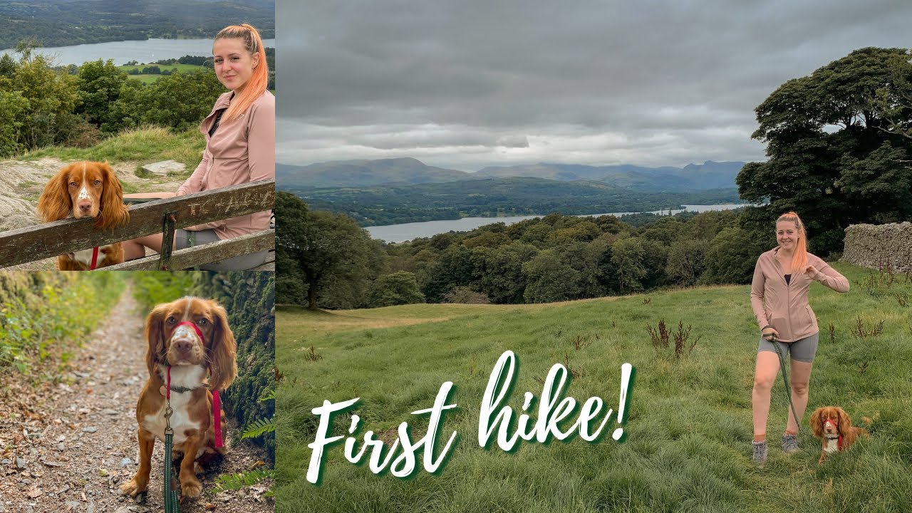 Our puppy's first hike! || Lake district vlog || Mini hike & dog friendly cafes
