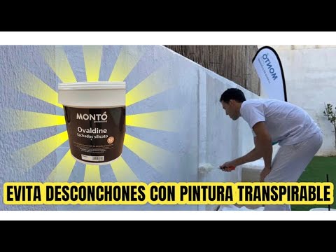 🎬 Video con opiniones sobre Pinturas Para Fachada Bricodepot