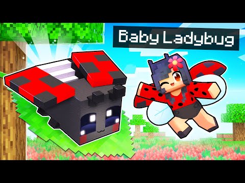 My BABY Ladybug's SECRET Minecraft Home!