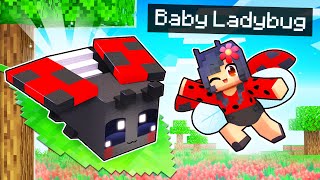 My BABY Ladybug's SECRET Minecraft Home!