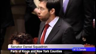 Senator Daniel Squadron session comments - 1/14/13