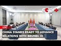 China Stands Ready to Advance Relations with Brunei: Xi