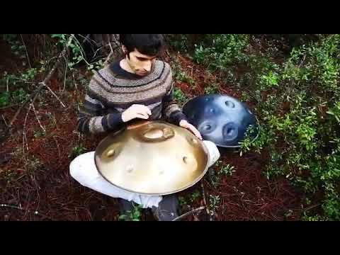 Playing Dugimago in the Portuguese woods
