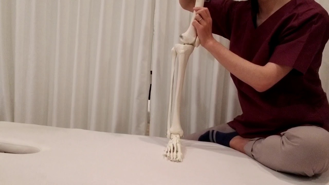 新人向け！膝OAに対する考え方