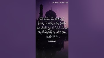سورة البقرة ربع "والوالدات يرضعن أولادهن"  مصطفى عبدالدايم
