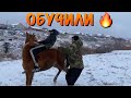 Идём обучать лошадь без седла 💪Калмыкия