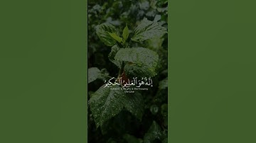 فَصَبْرٌ جَمِيلٌ 😔💚 القارئ إسلام صبحي 🌸لا حزن يبقى و القرآن يُتلى 🎧♥️.