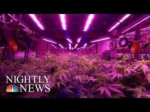 First East Cruise Recreational Marijuana Retail Stores To Commence Tomorrow | NBC Nightly Files thumbnail