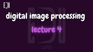 digital image processing lecture 4 Wealth