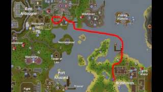 Guide to Slaying Metal Dragons (With Commentary)