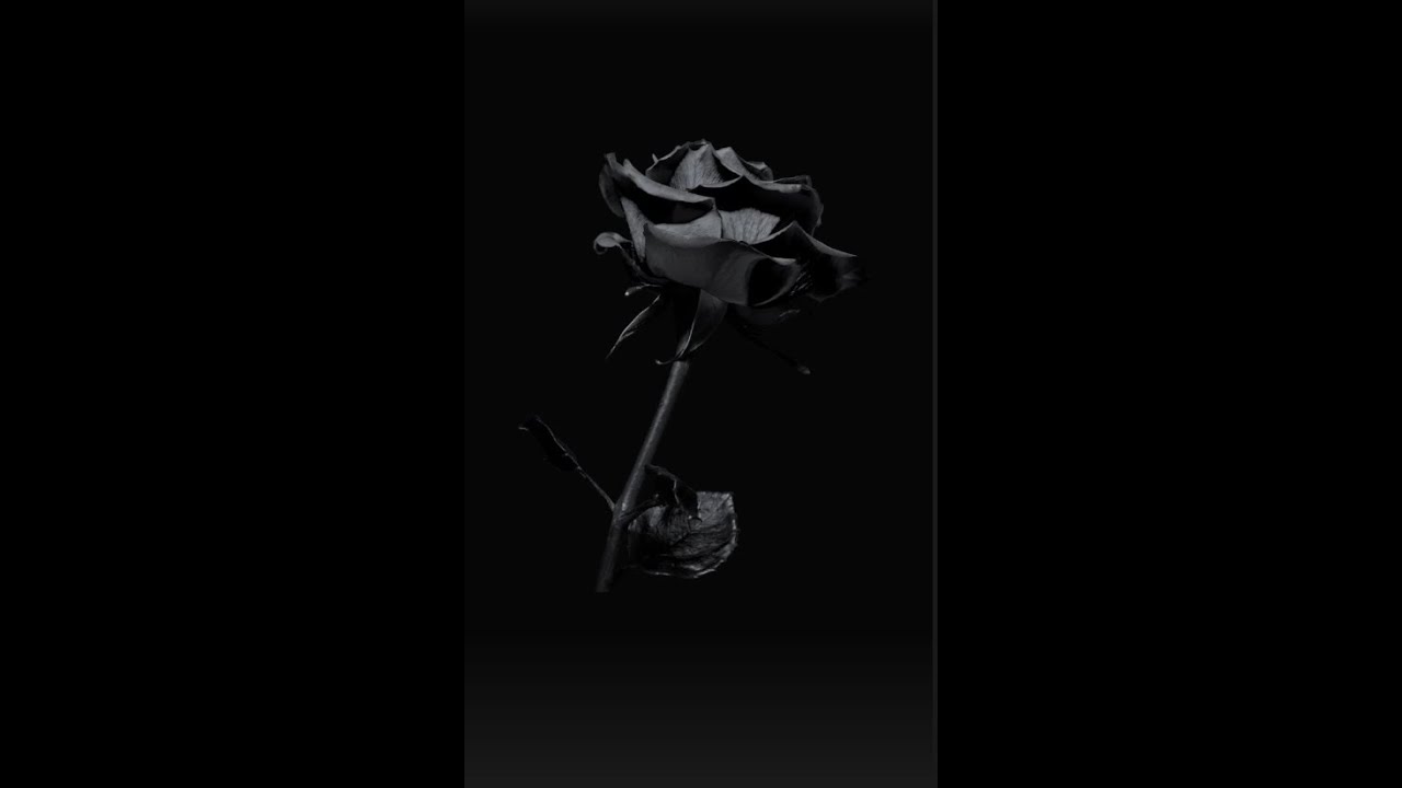 Karanlık (Boom Bap Beat)