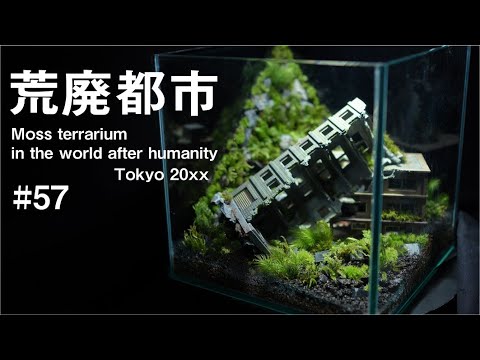 【荒廃都市Tokyo20xx】苔テラリウムを20cmCUBE水槽に作る57 | Moss terrarium in the world after humani Tokyo20xx 57