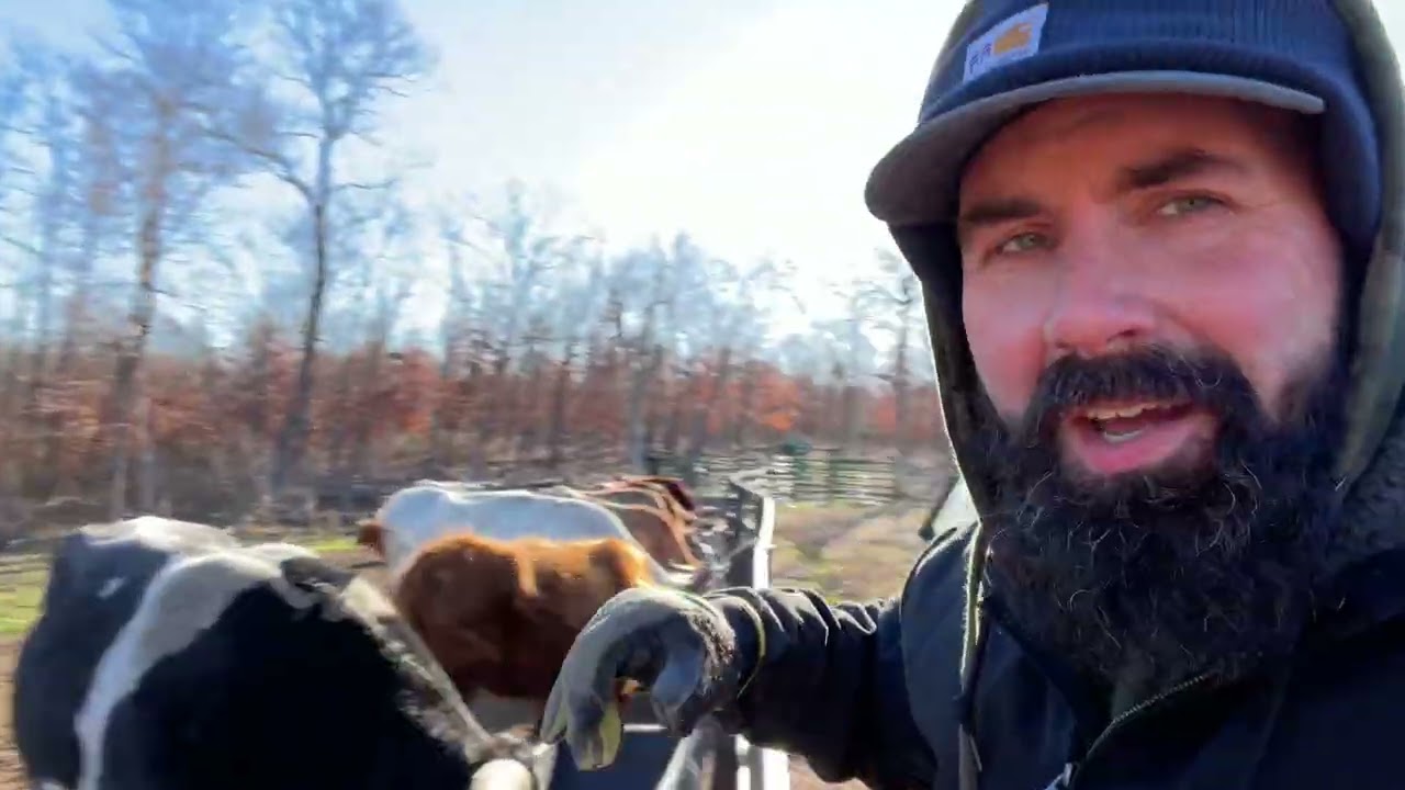 We Should Have Been Feeding Like This All Along!