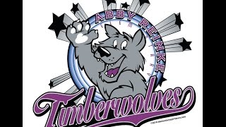 WOLF News Team 3-2 2016/2017