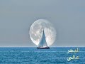 الغريب اني وانا بجنبك غريب صدى العود شاهين 