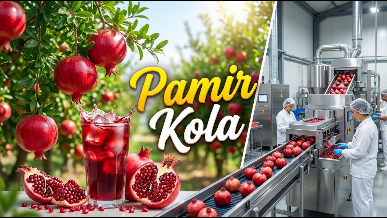 Pamir Cola 🇦🇫 | Afghanistan’s Most Popular Drink Secret |  Farm to Bottle