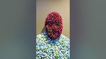 AI Generated Music Video for Patty Cake by DJ Floops