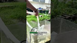 Spesifikasi Pompa Celup Stainless Steel tipe SSS3-18 (0,75 HP / 0,55 kW)