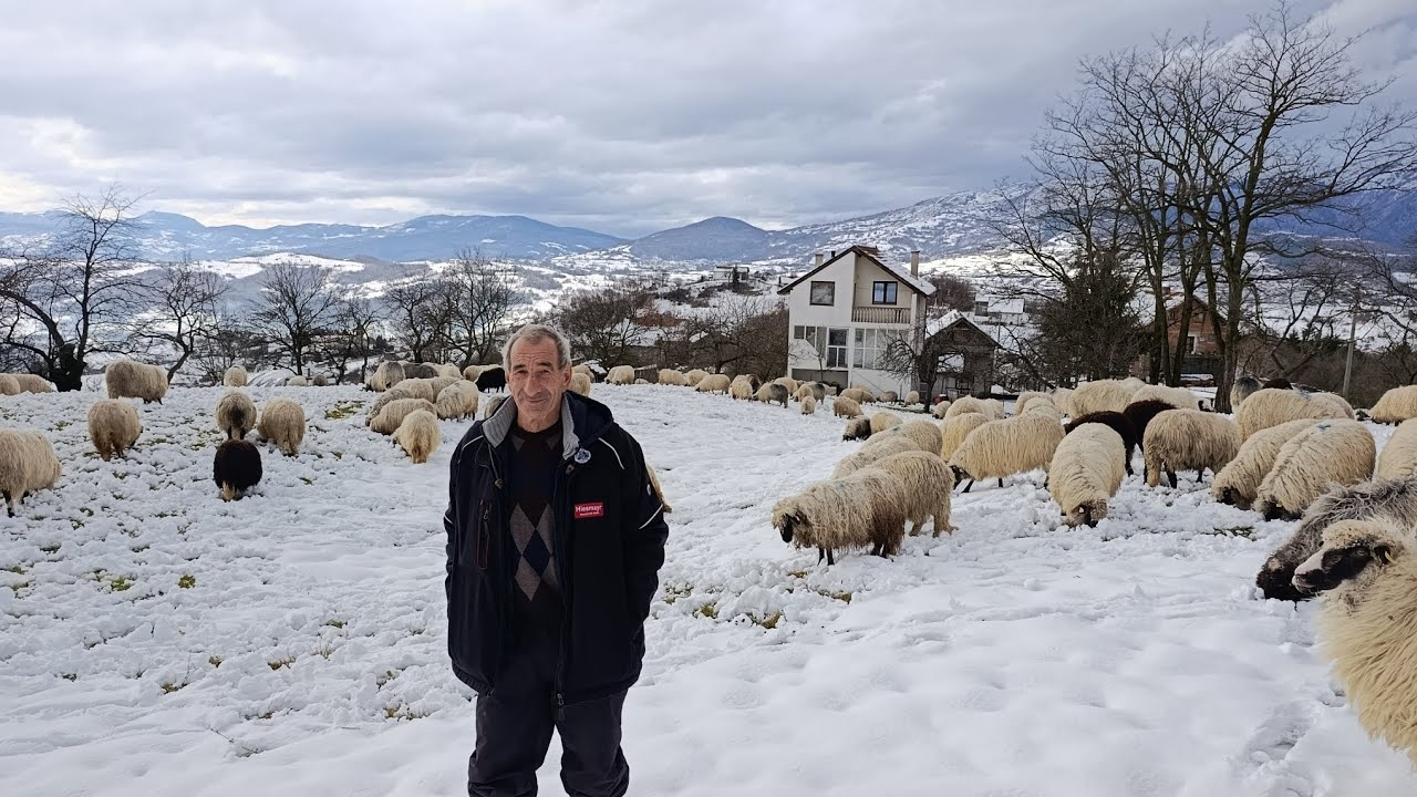 GODINE SVOJE UČINILE NEIDEM VIŠE NI NA ZIMINU OVDJE BORAVIM 8 GODINA