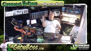 Super Cropping explained 1-6 - what you really need to do to get that yield- with the grow boss