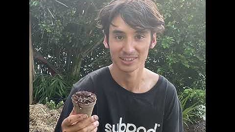 Subpods' Special Seedling Mix!