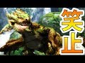【MH3G/HD】自称陸の女王ｗｗｗ-PART11-【モンハン3G実況】