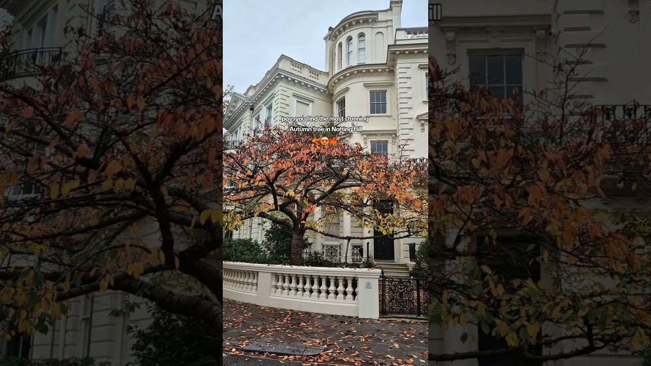 Autumn in London 🍂 