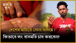 যুবকের চ্যালেঞ্জ- ৪৫০ টাকার বাসমতি  ২০০ টাকায়। কিভাবে সম্ভব? | চলতি কৃষি