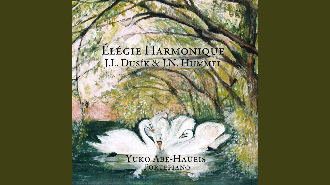 Grande Sonata D-Dur op. 106: III. Larghetto a Capriccio