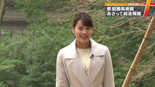 リニューアル　東京都庭園美術館の魅力とは