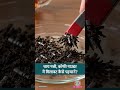 Tea, Coffee Powder में Adulteration पता करने का तरीका FSSAI ने बताया #Sehat #LTSehat #Shorts