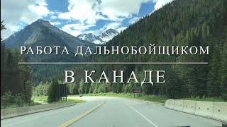 Водитель-дальнобойщик в Канаде. Как получить права, где искать работу, оплата труда водителя и др.