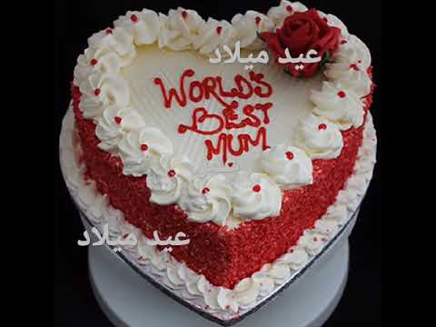 عيد ميلاد عمر