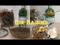 Gin Raisins for Arthritic Knees